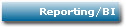 Reporting/BI